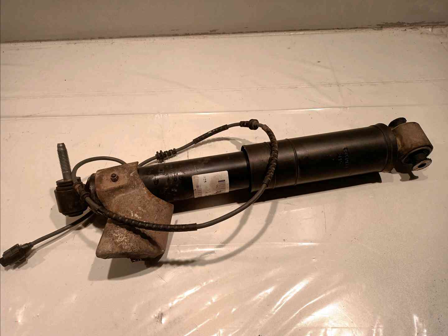 Image sélectionnée