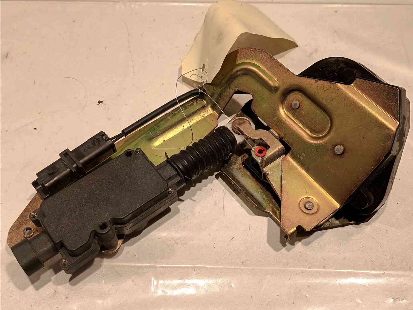 Image sélectionnée