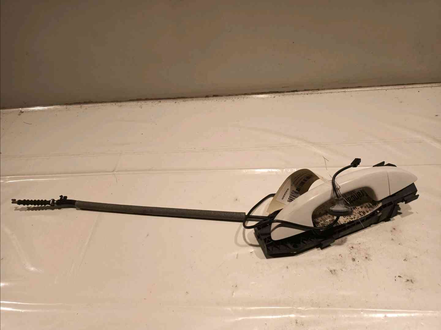 Image sélectionnée