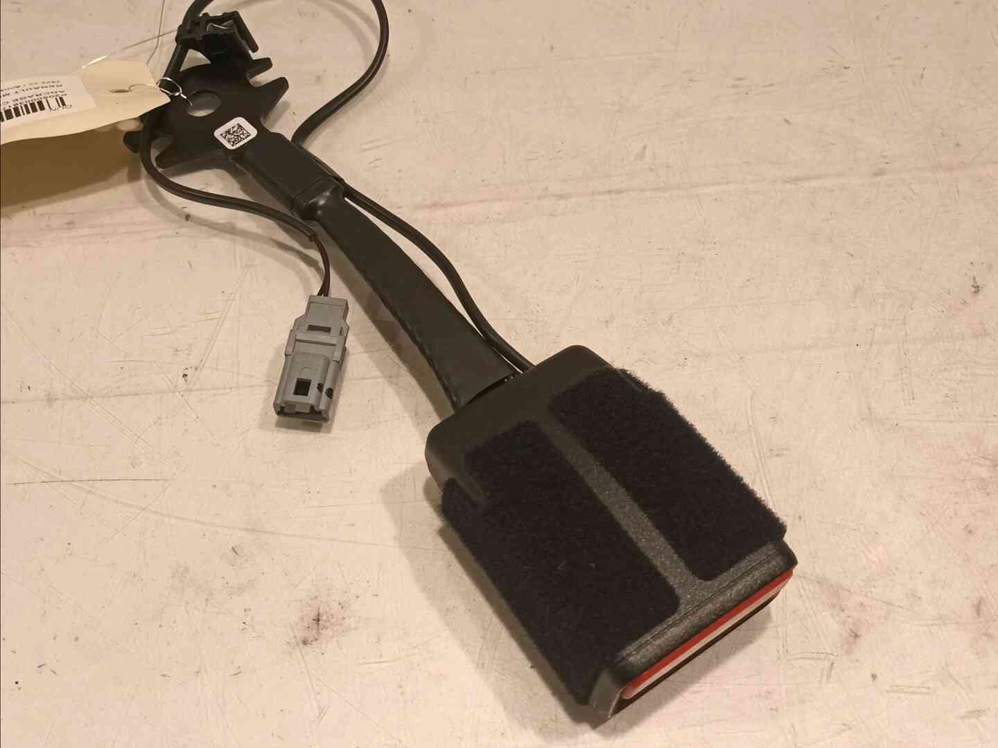 Image sélectionnée