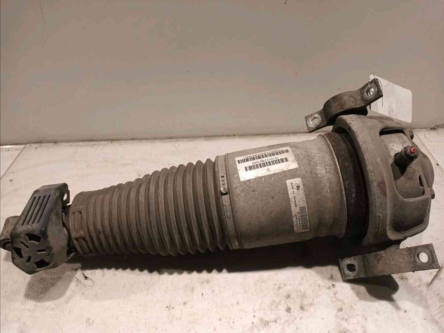 Image sélectionnée