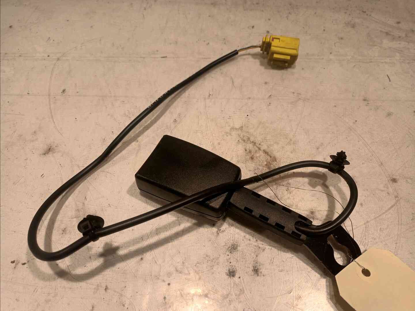 Image sélectionnée