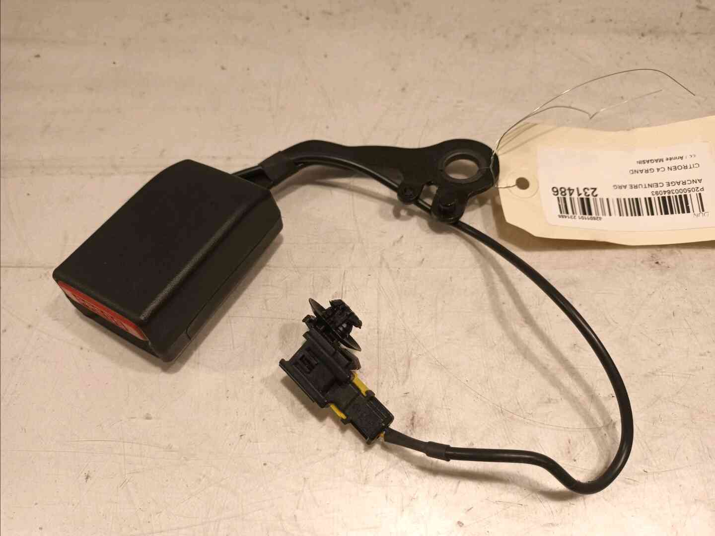 Image sélectionnée