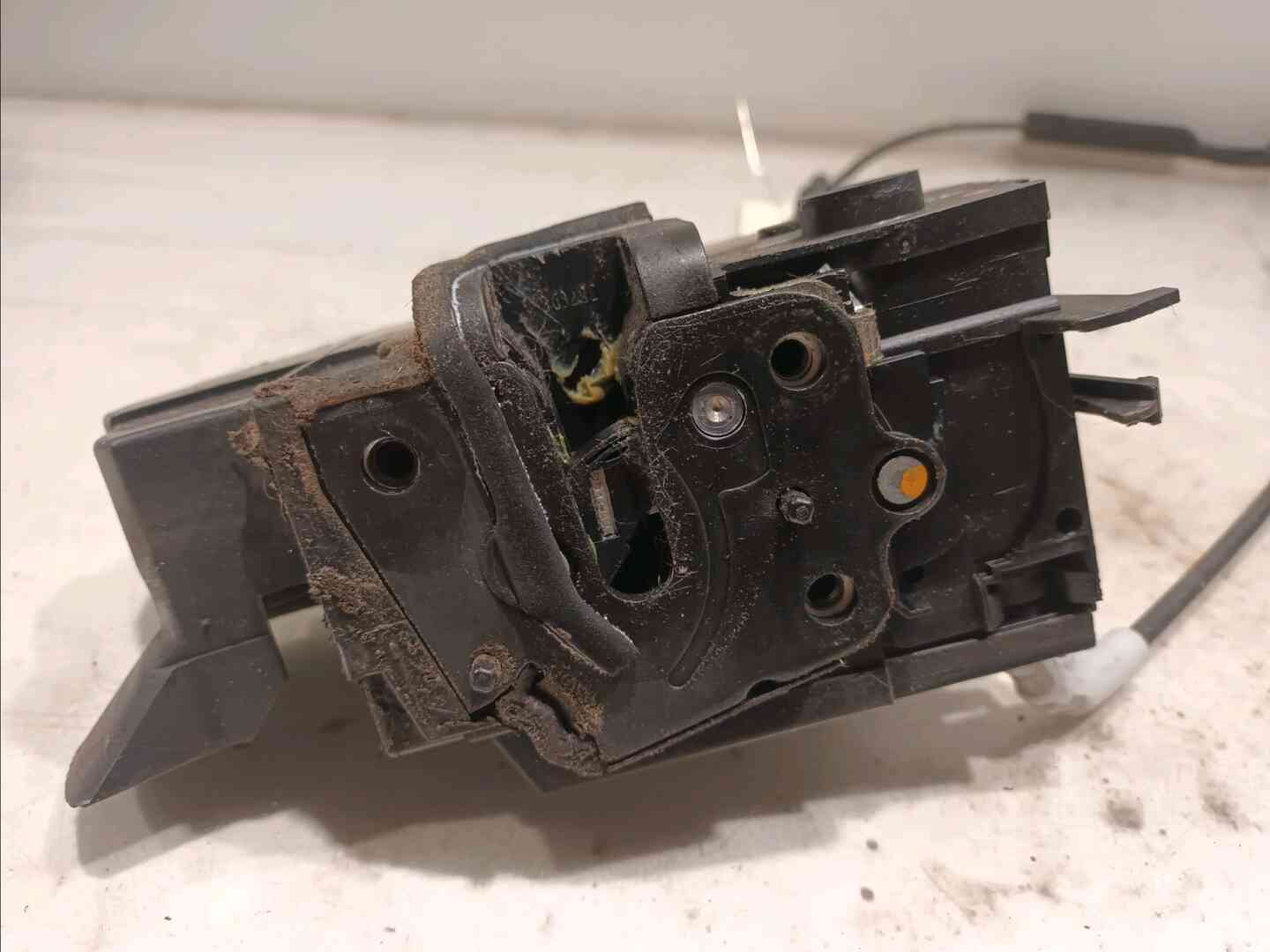 Image sélectionnée