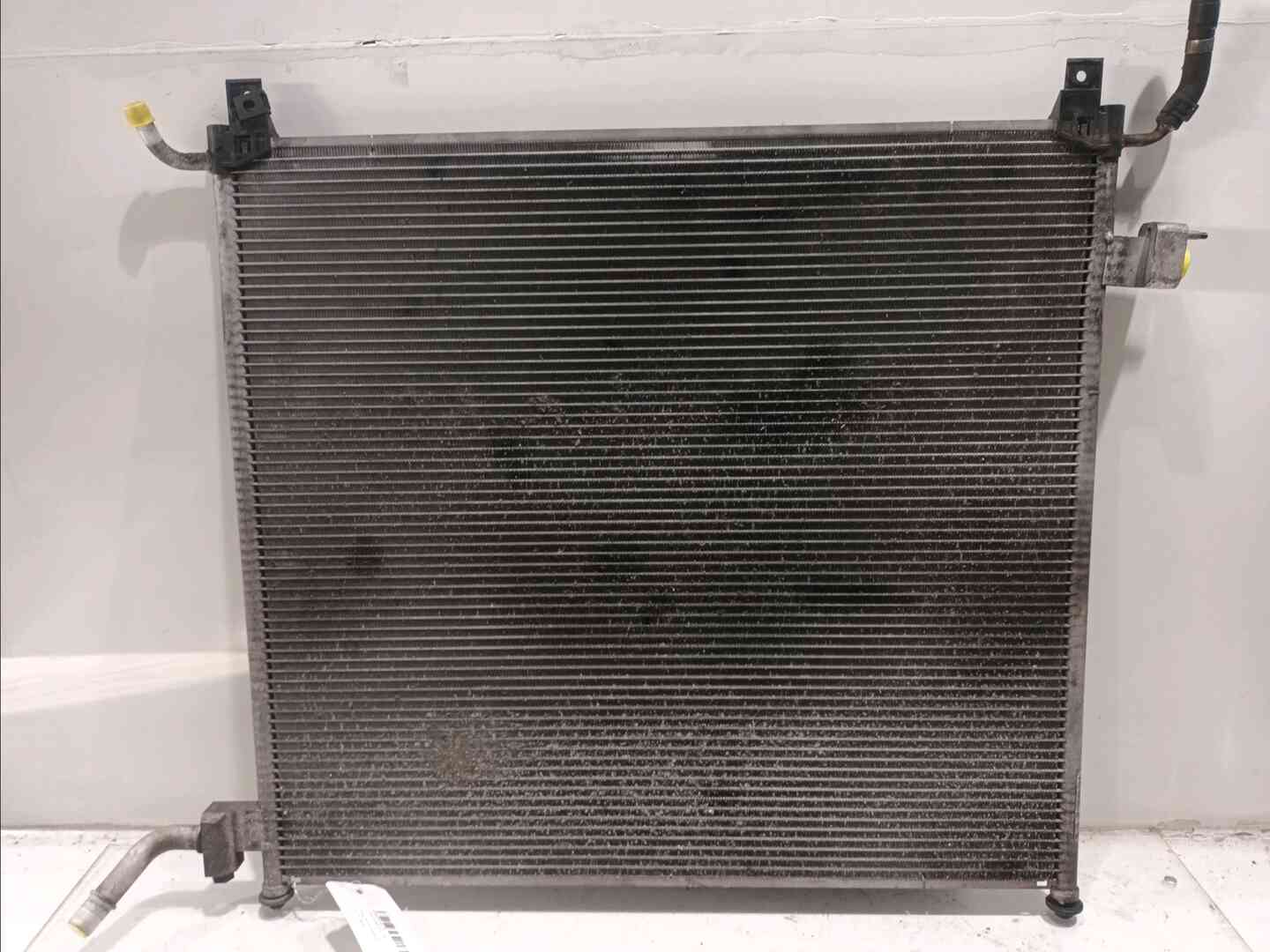 Image sélectionnée