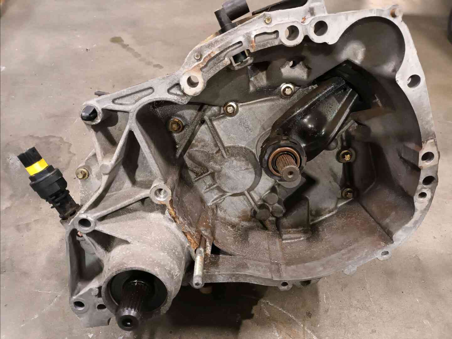 Image sélectionnée
