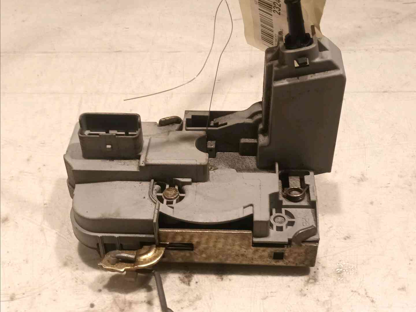 Image sélectionnée