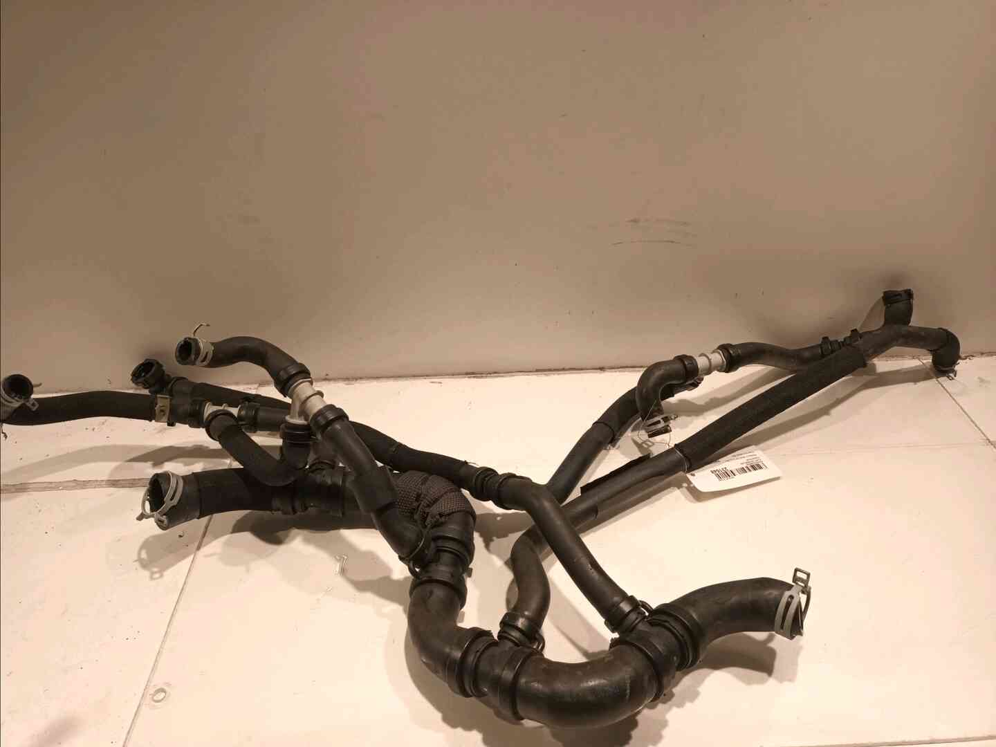 Image sélectionnée