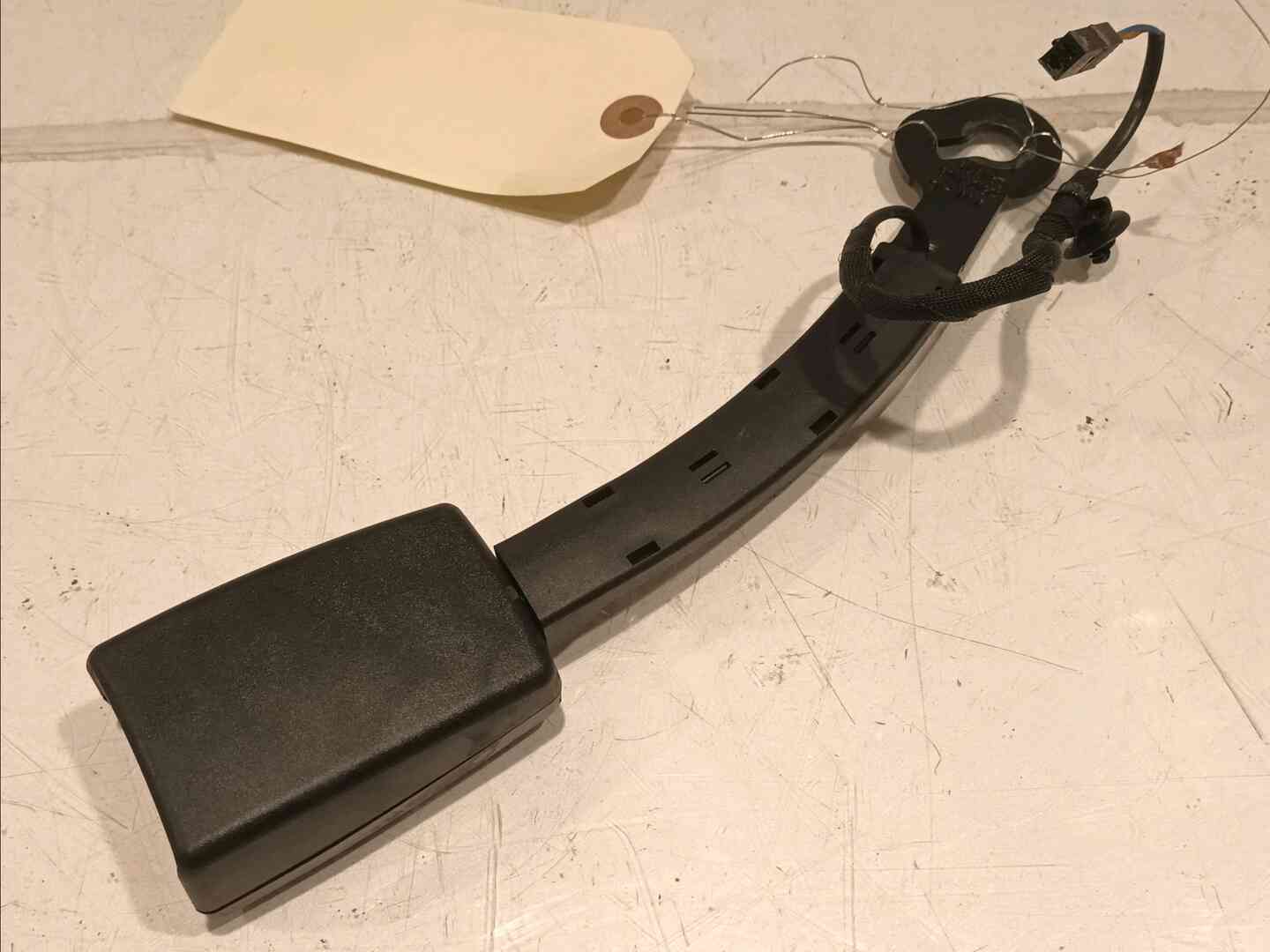 Image sélectionnée