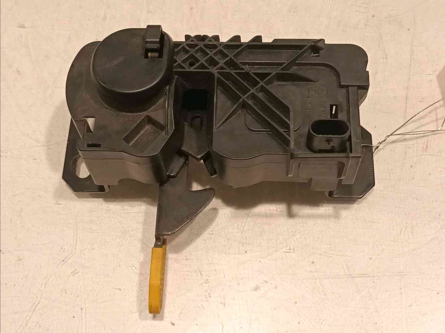 Image sélectionnée