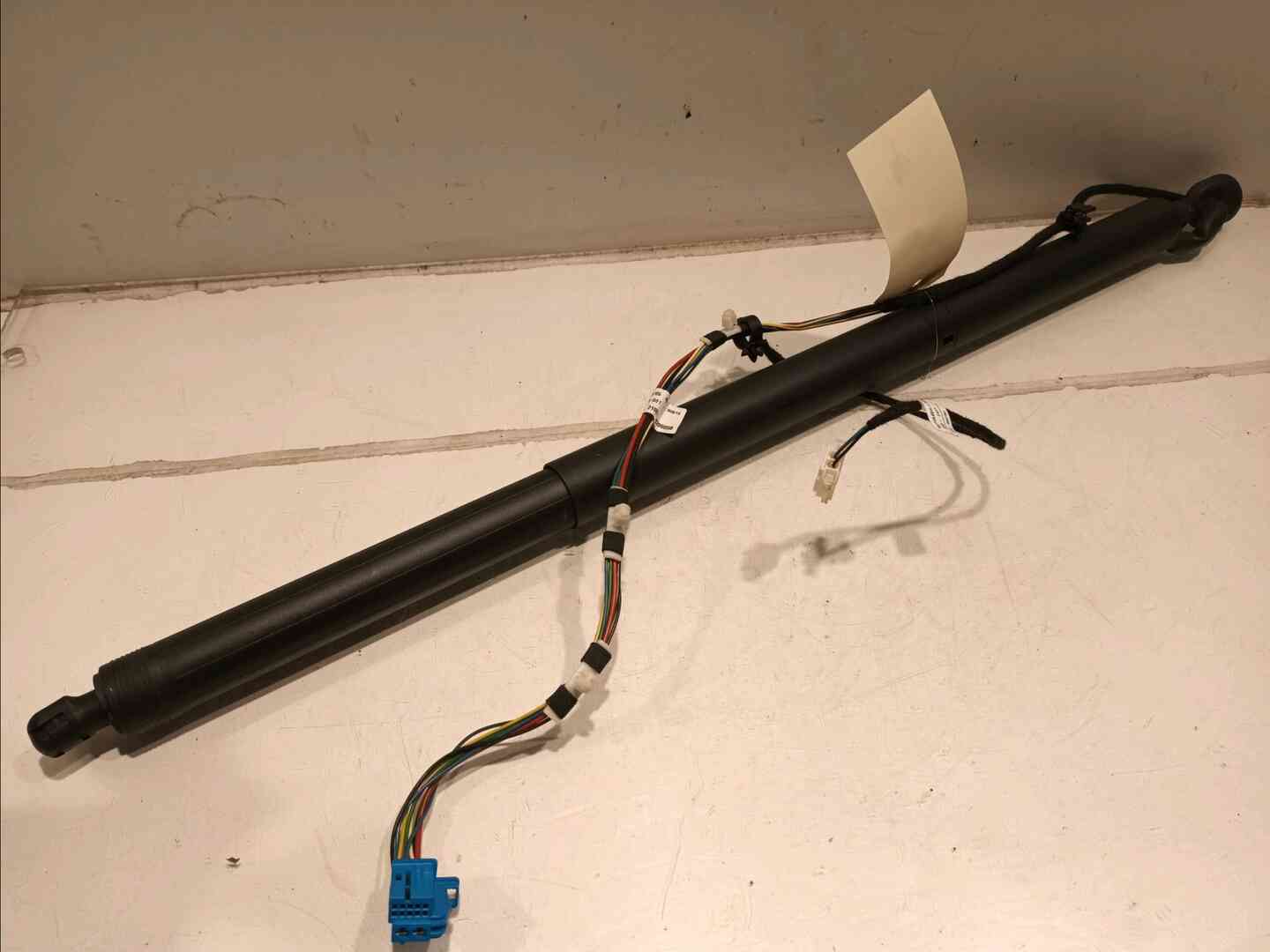 Image sélectionnée