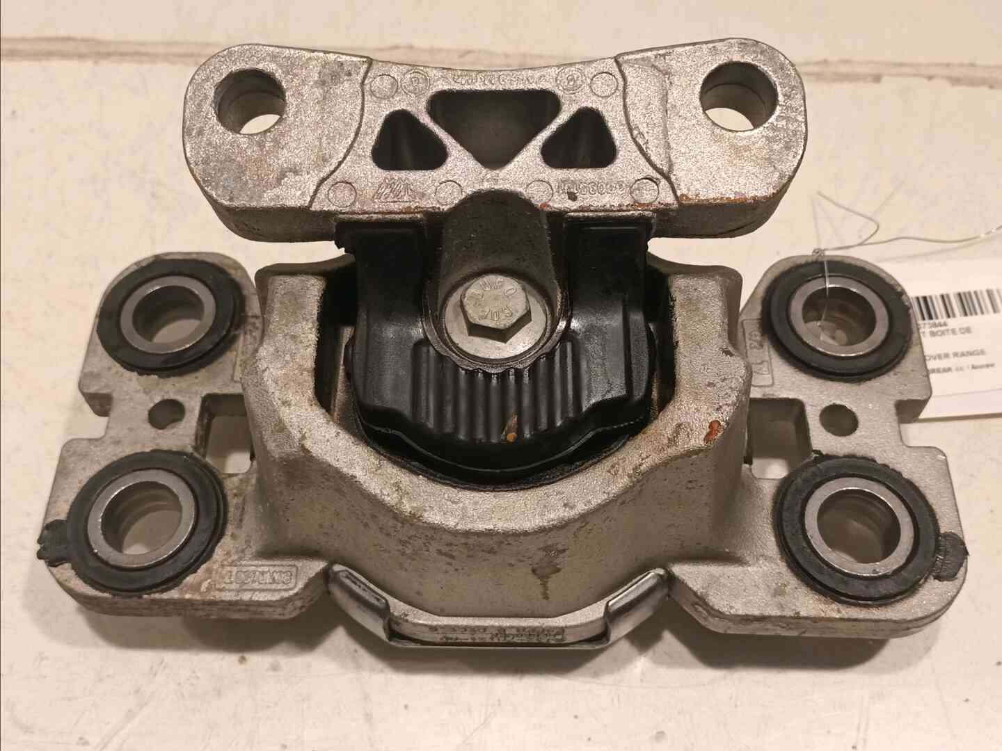 Image sélectionnée