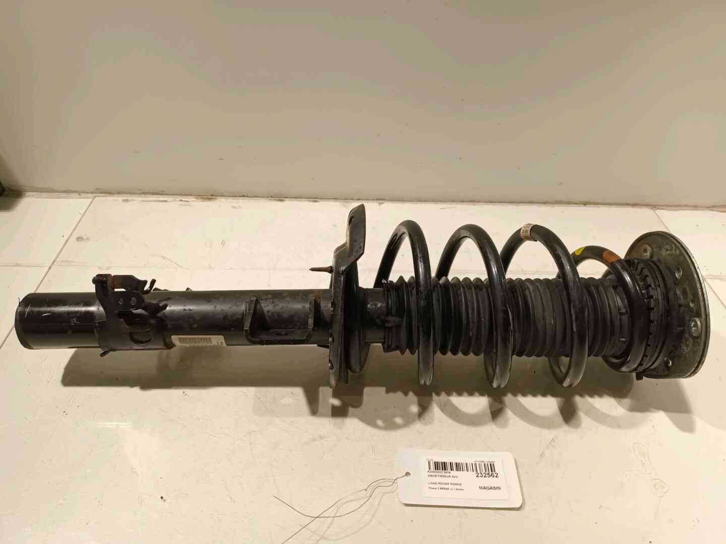 Image sélectionnée