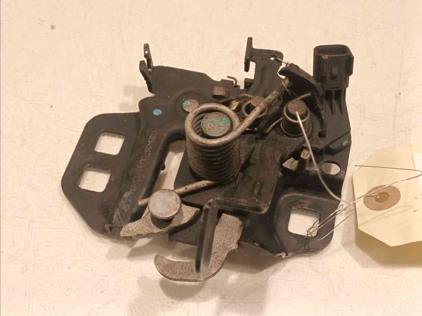 Image sélectionnée