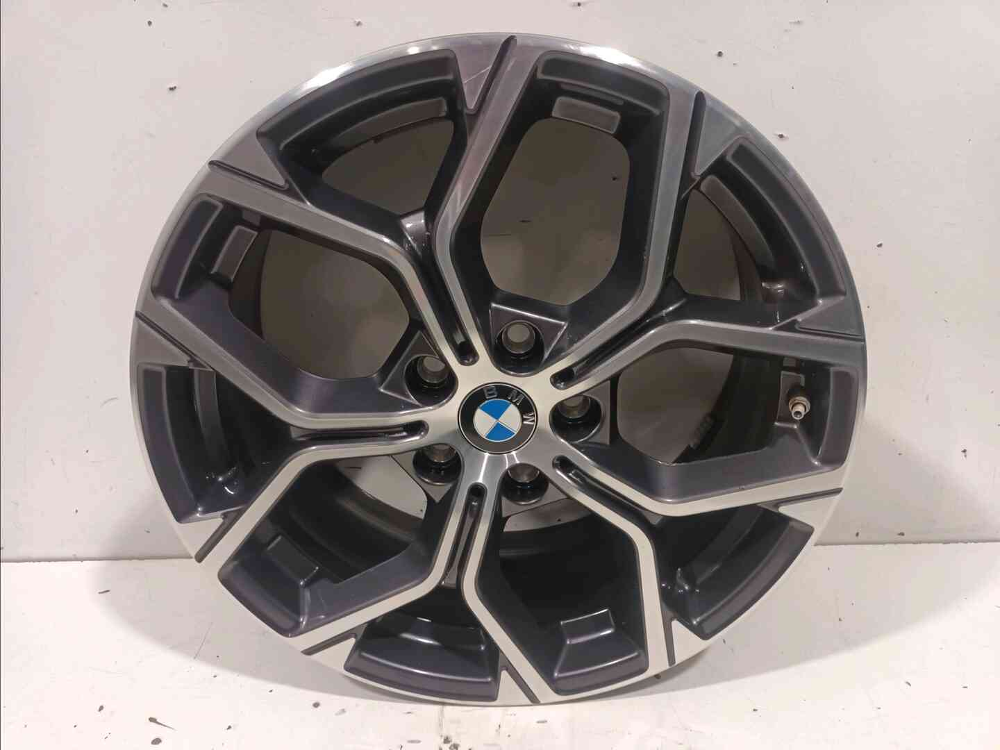 Image sélectionnée