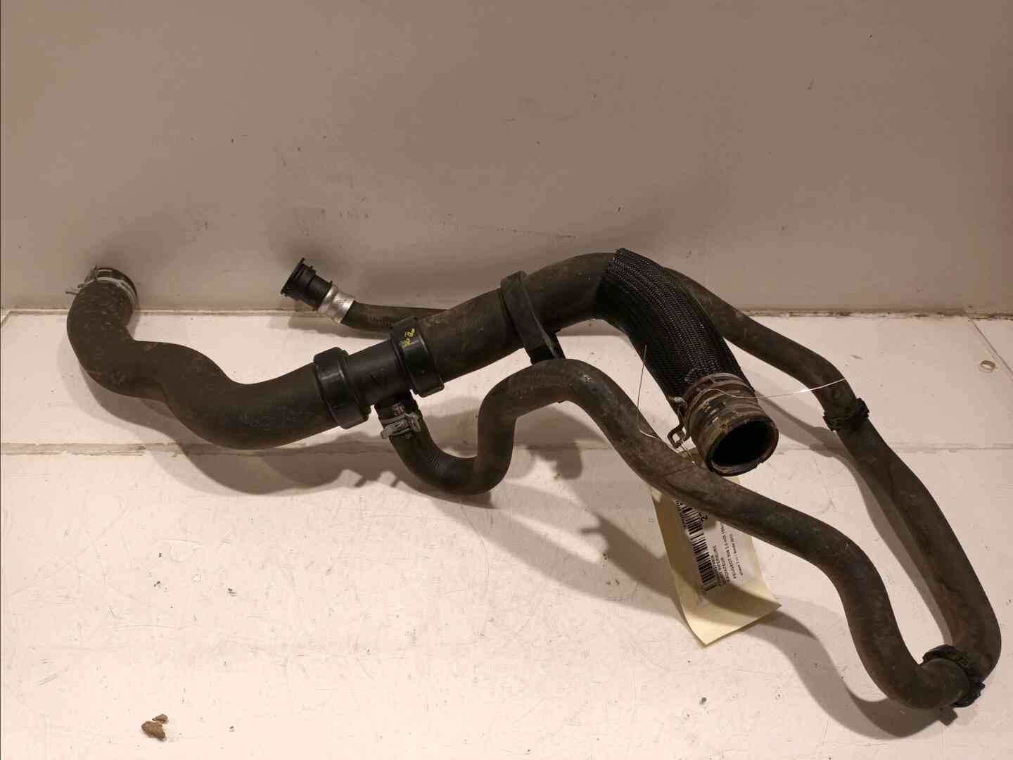 Image sélectionnée