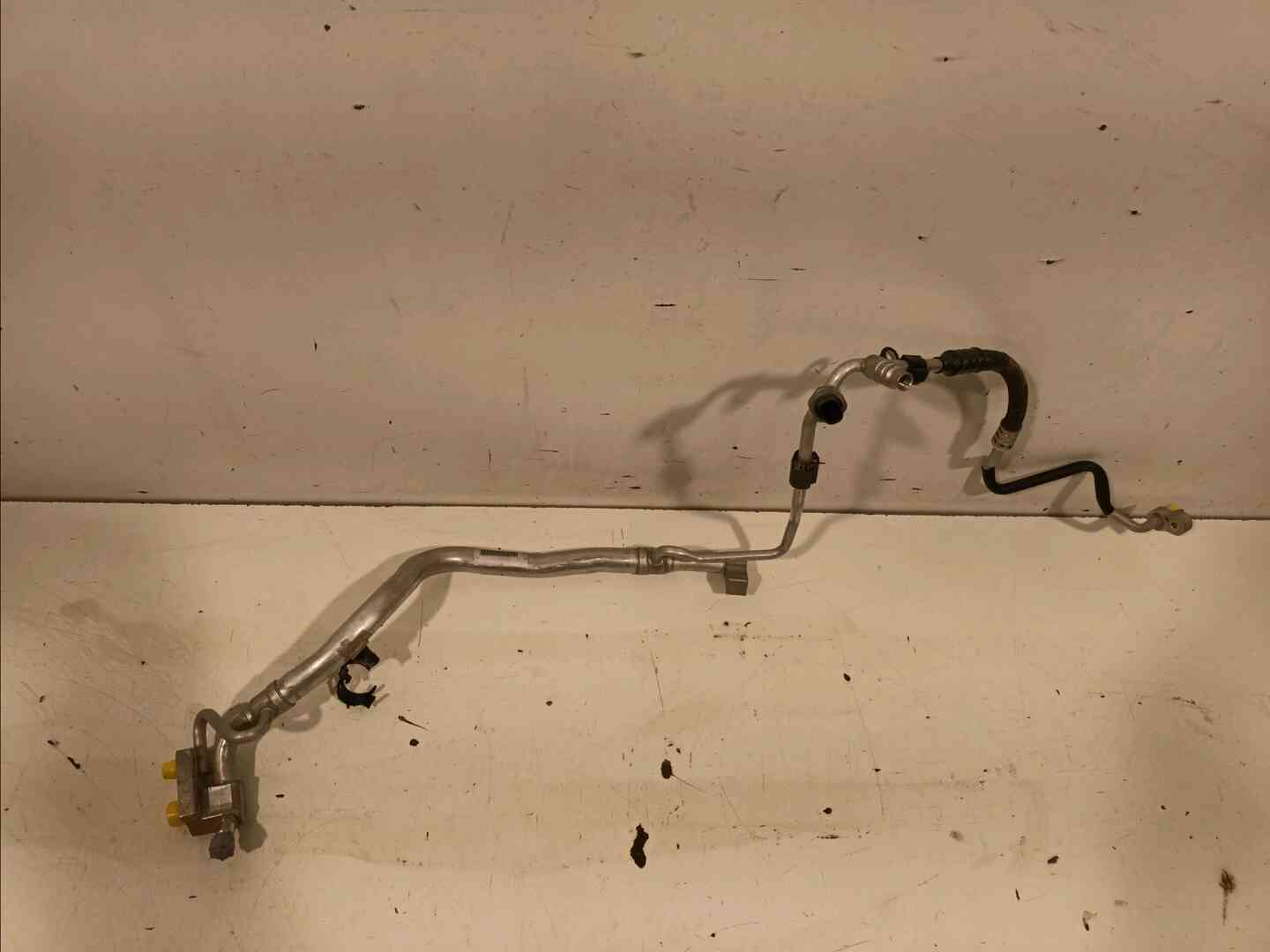 Image sélectionnée