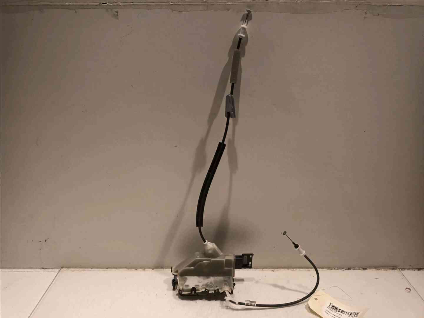 Image sélectionnée