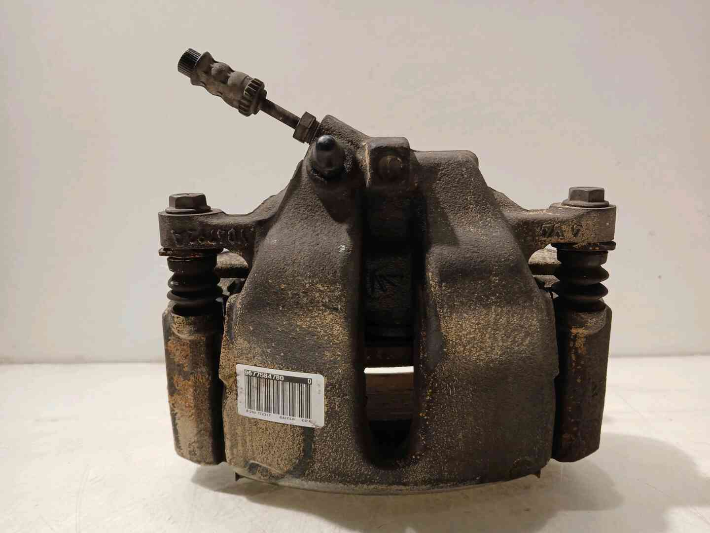 Image sélectionnée