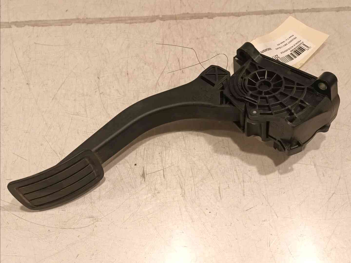 Image sélectionnée