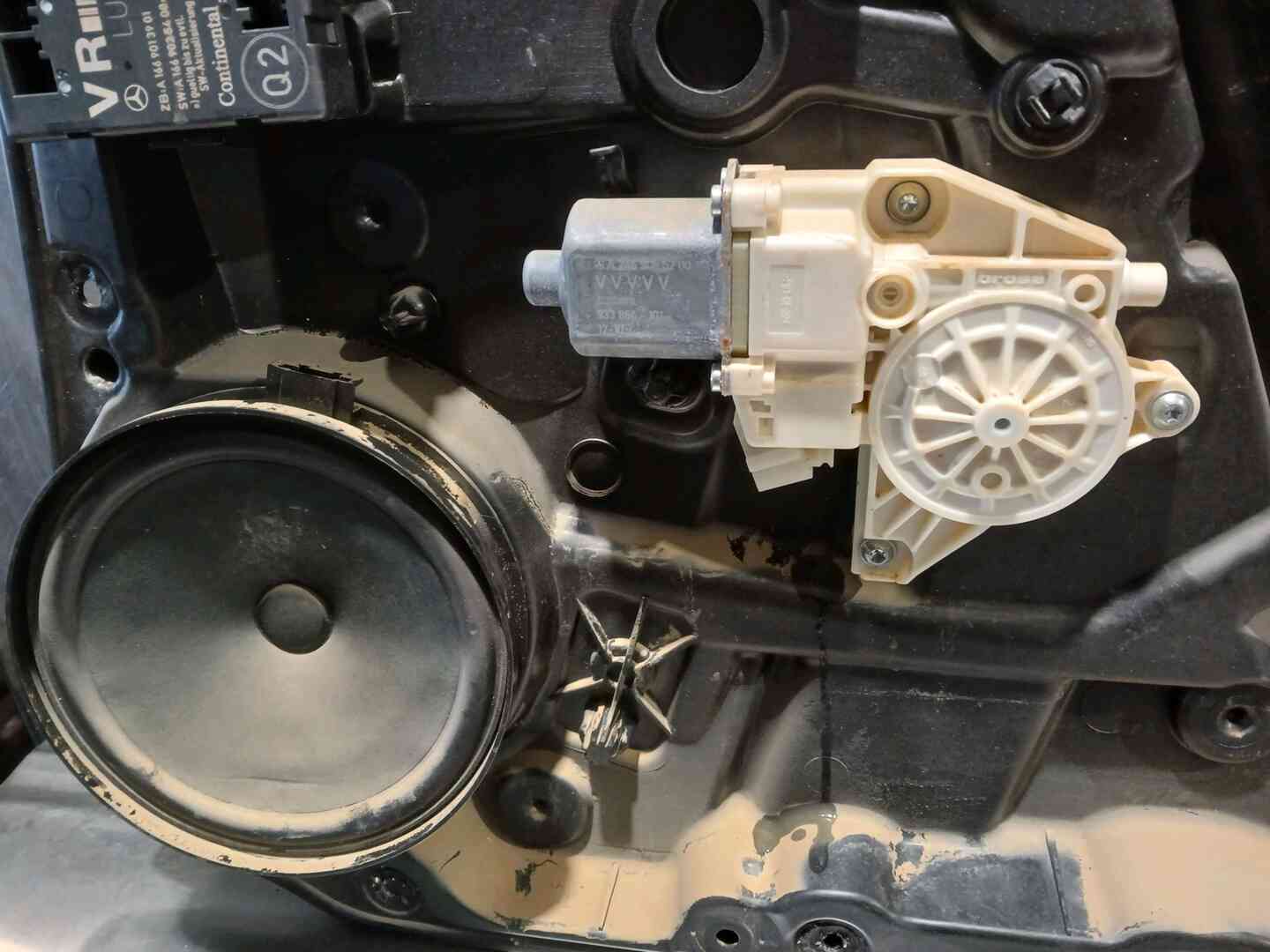 Image sélectionnée