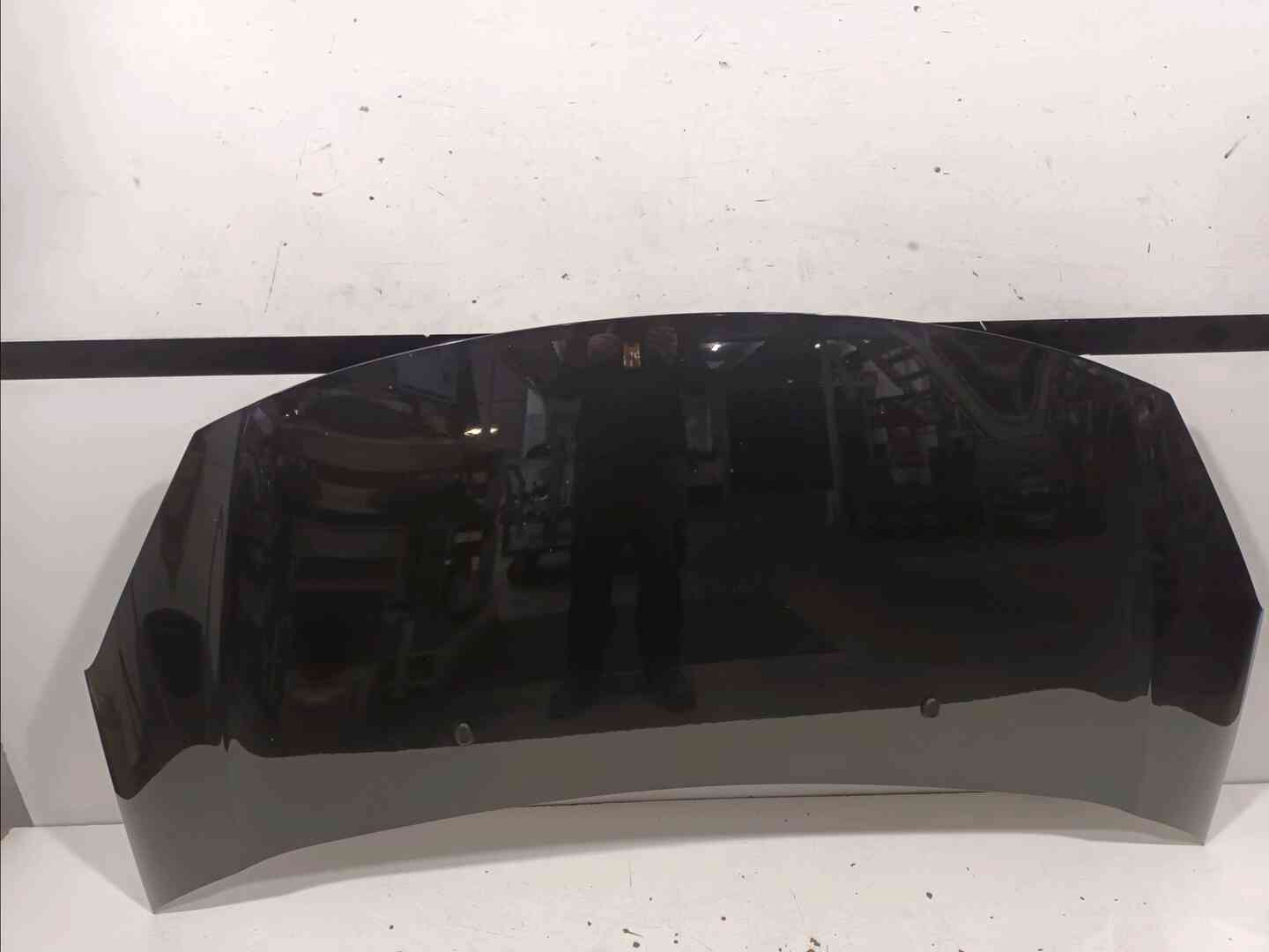 Capot — CITROEN — C3 II — PHASE 1 — OE 7901R1 — occasion garantie 2 ans