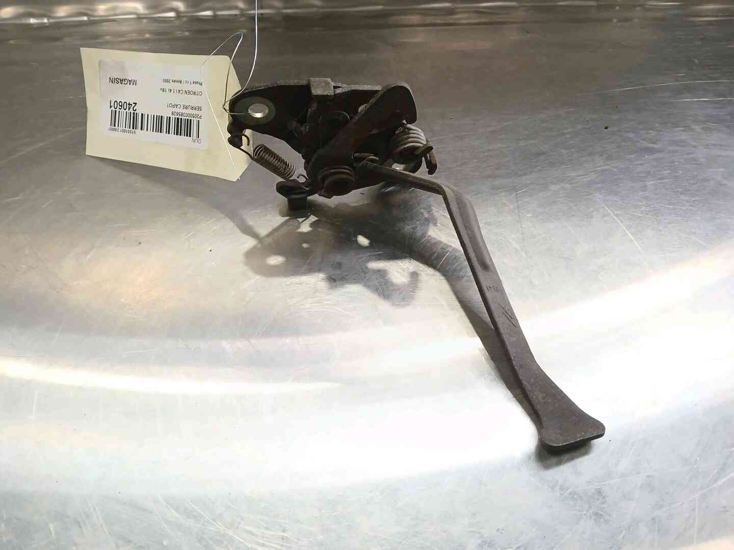 Image sélectionnée