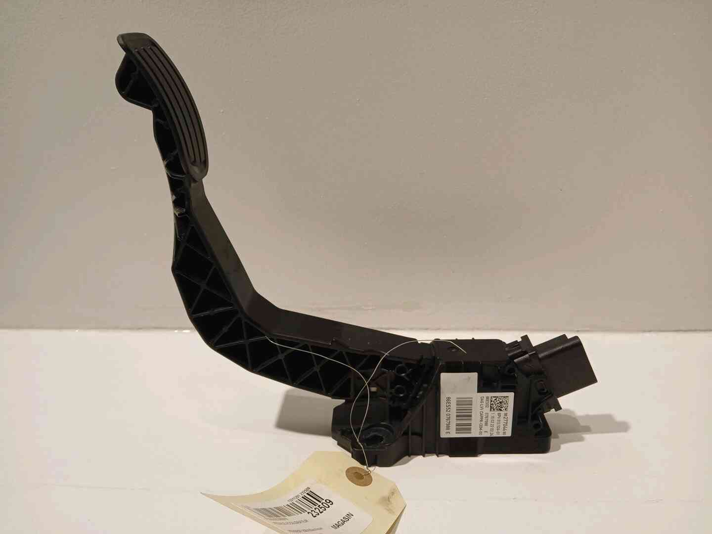 Image sélectionnée