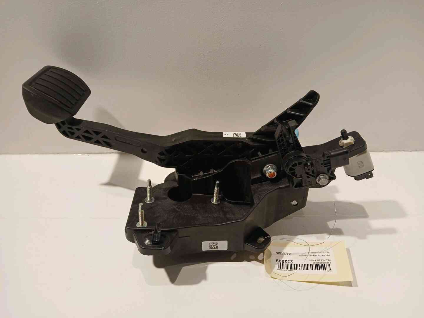 Image sélectionnée