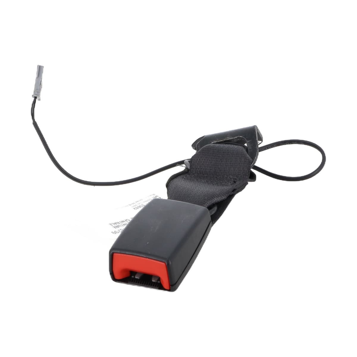 Image sélectionnée