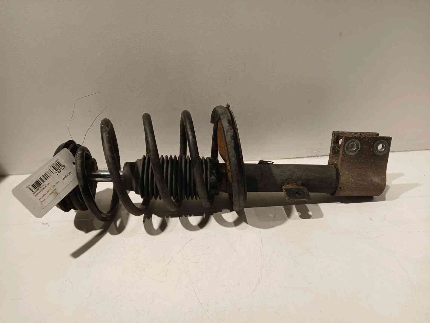 Image sélectionnée