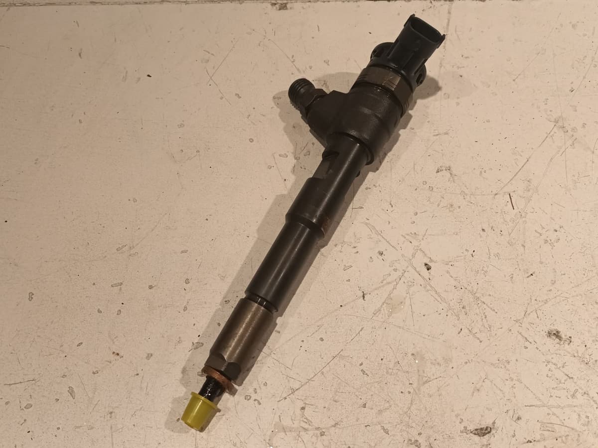 Image sélectionnée