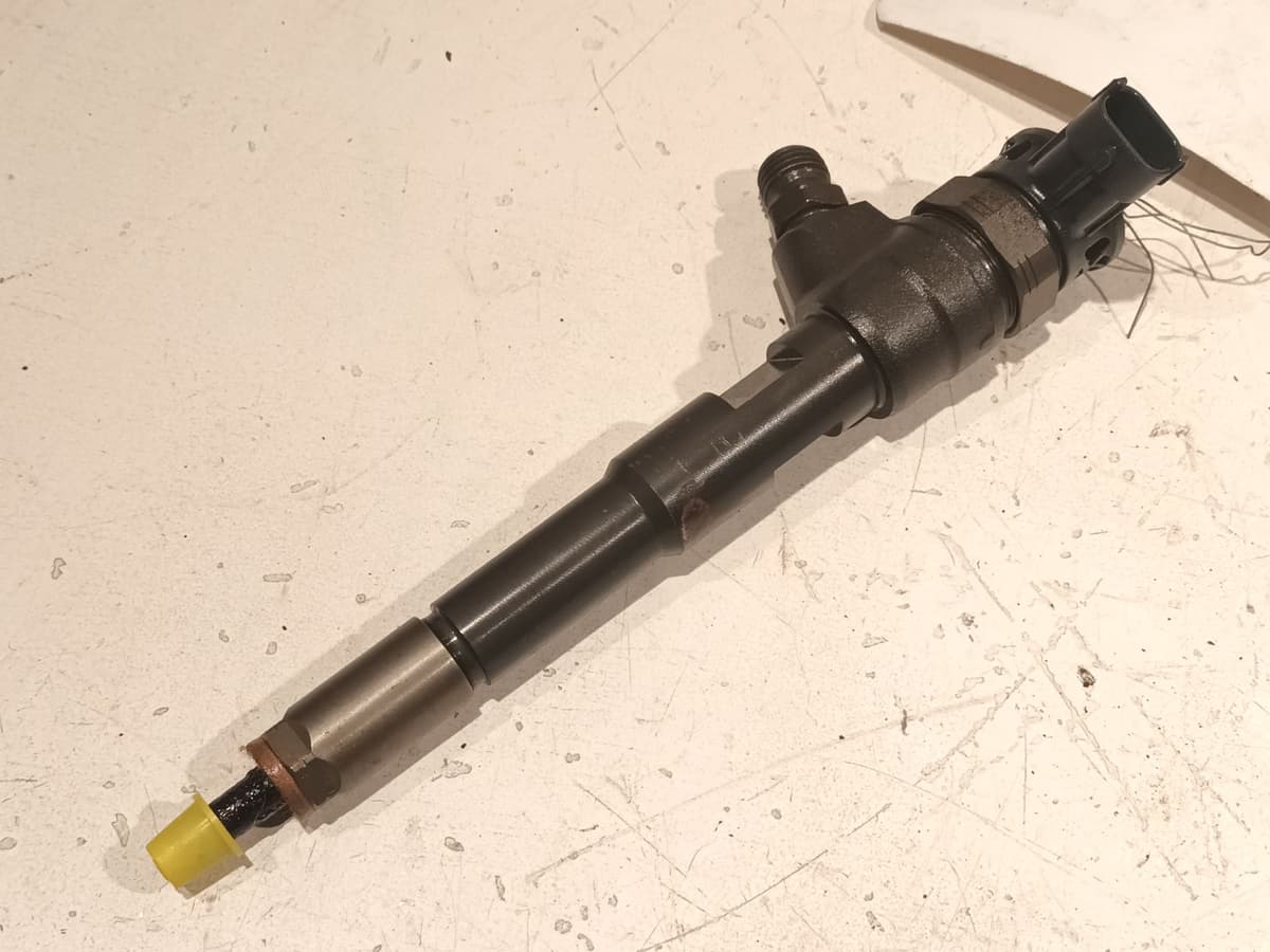 Image sélectionnée