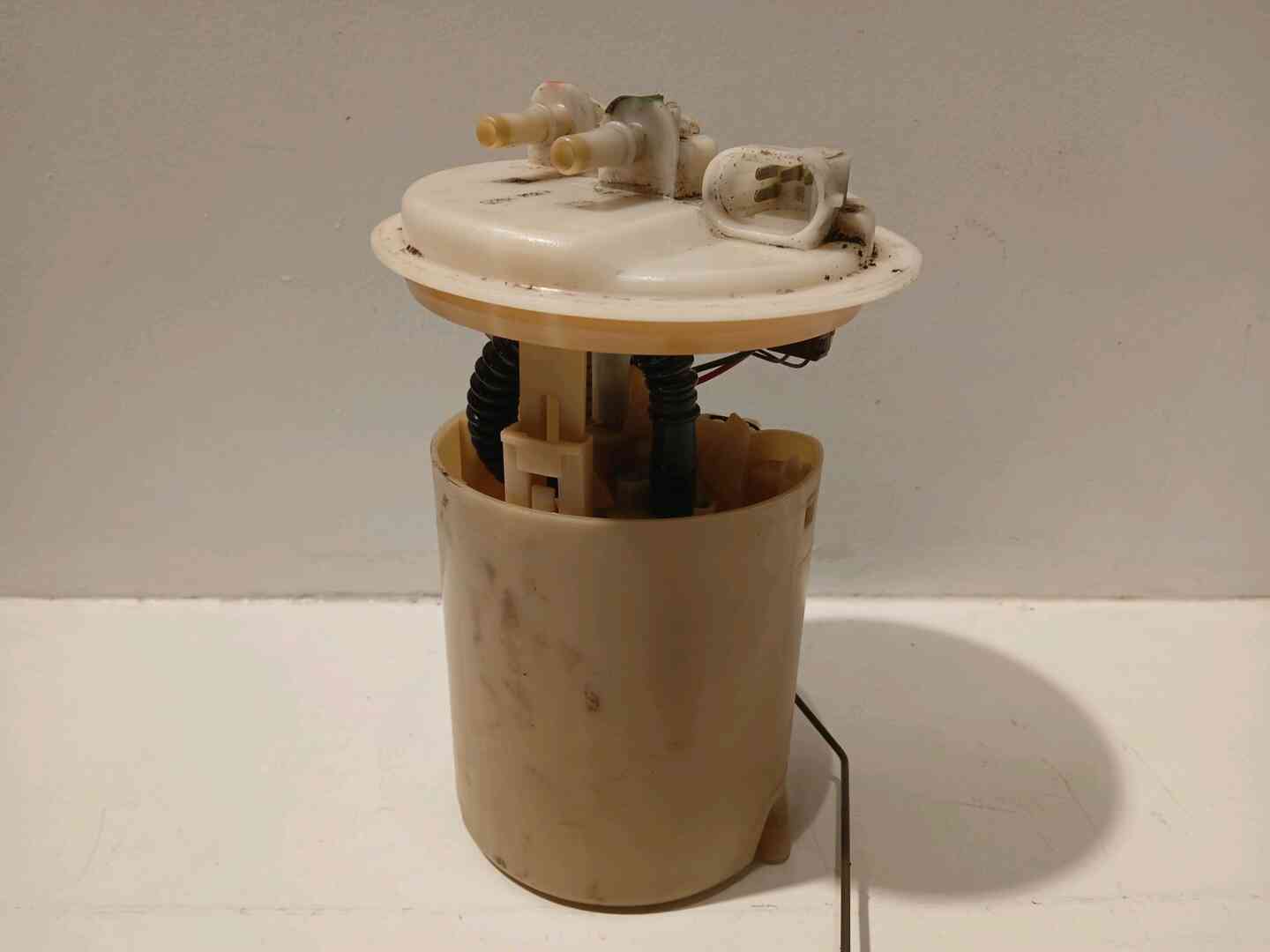 Image sélectionnée