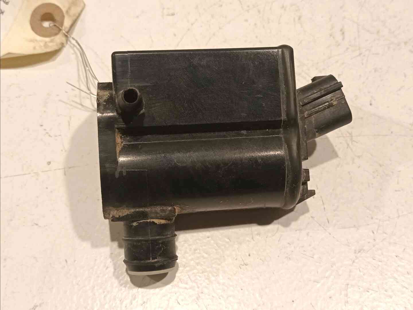Image sélectionnée