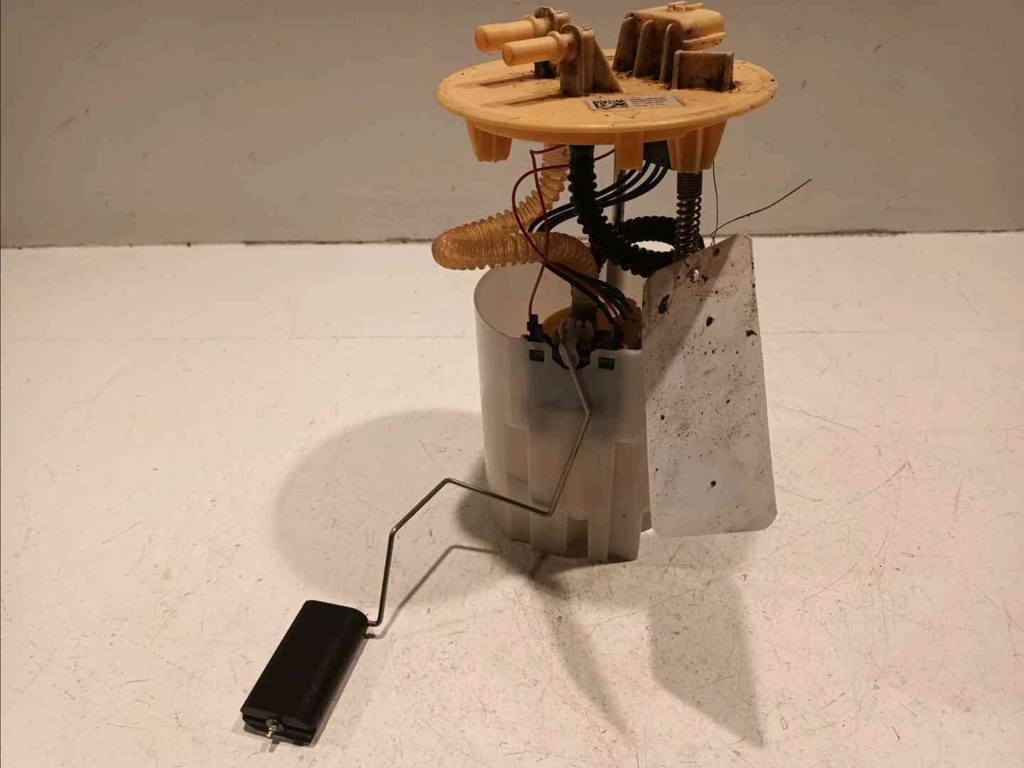 Image sélectionnée