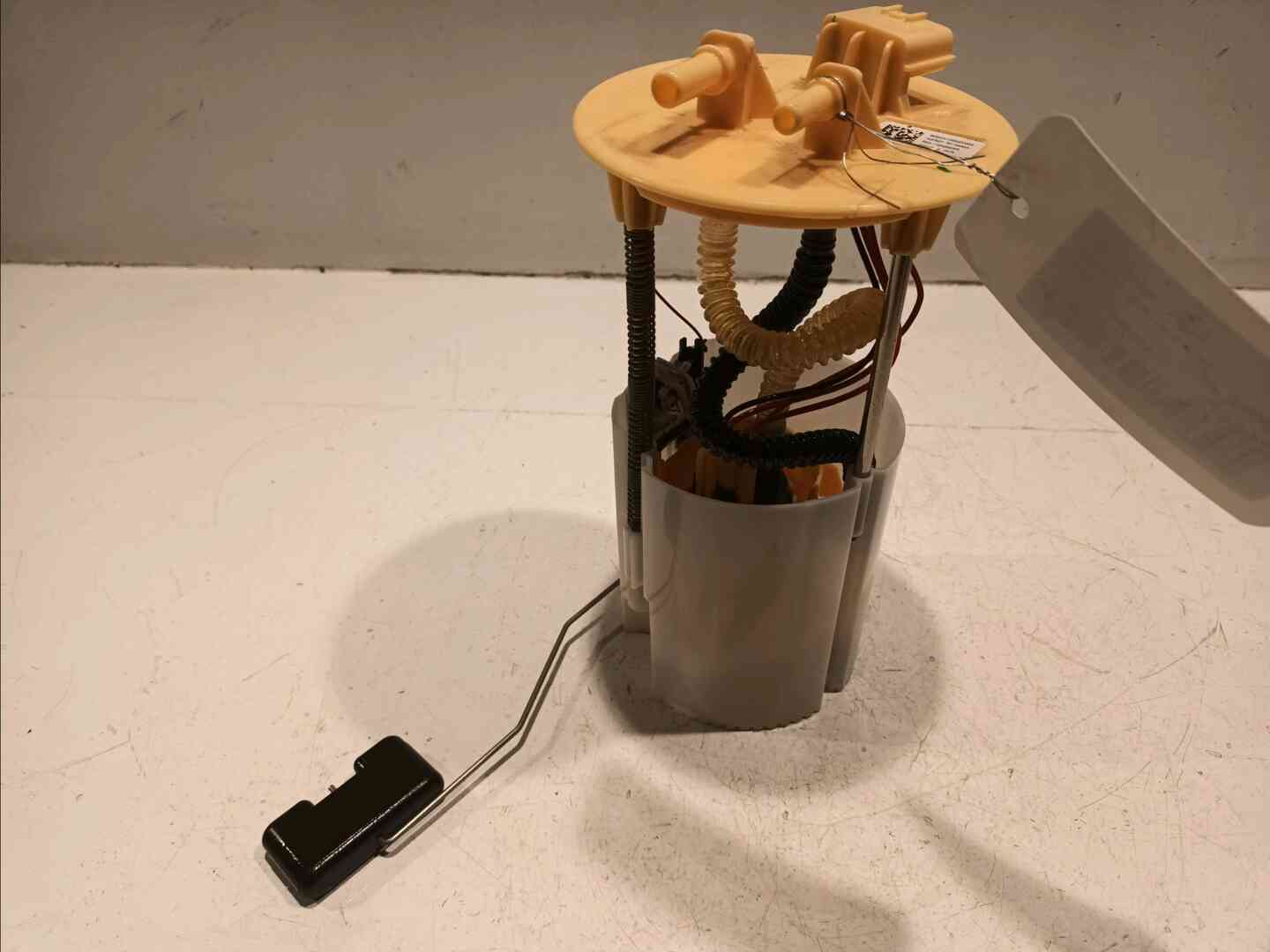 Image sélectionnée