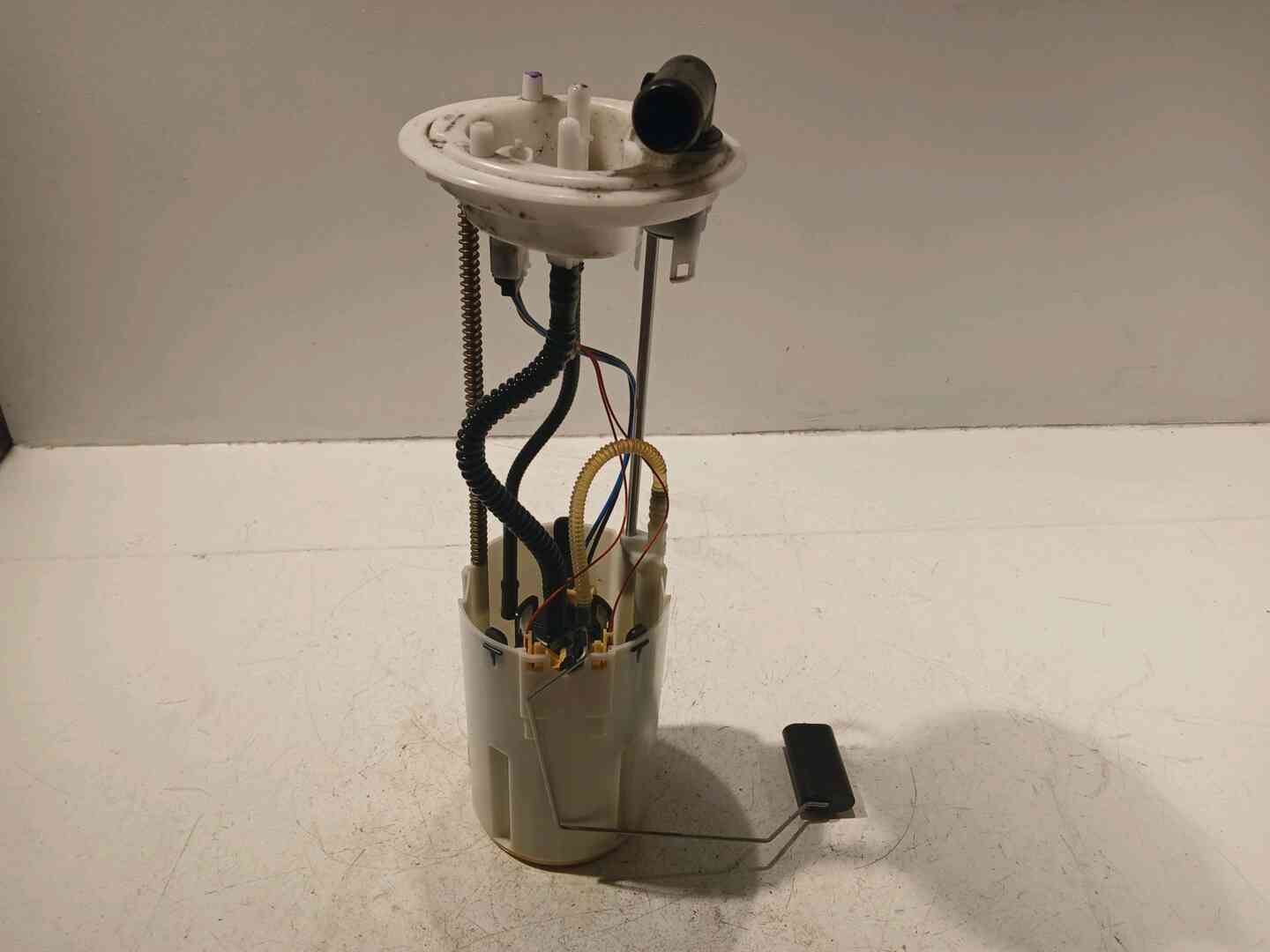 Image sélectionnée