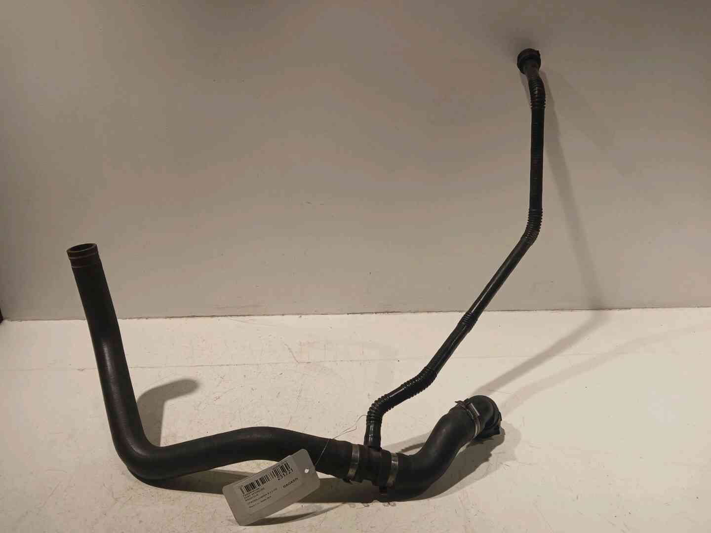 Image sélectionnée
