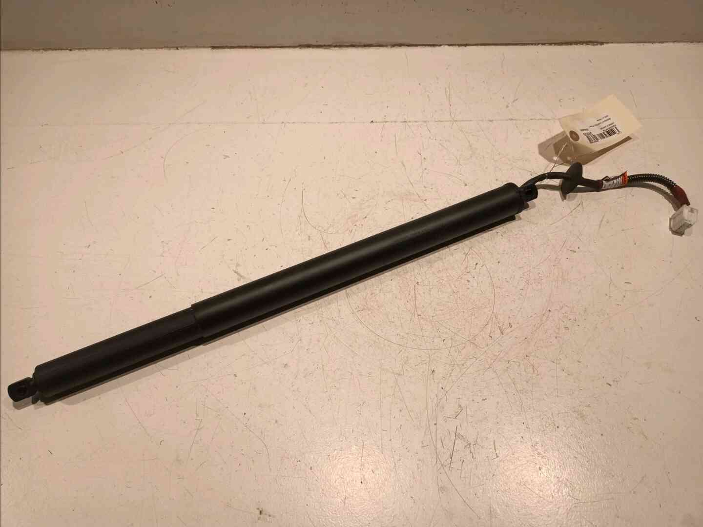 Image sélectionnée