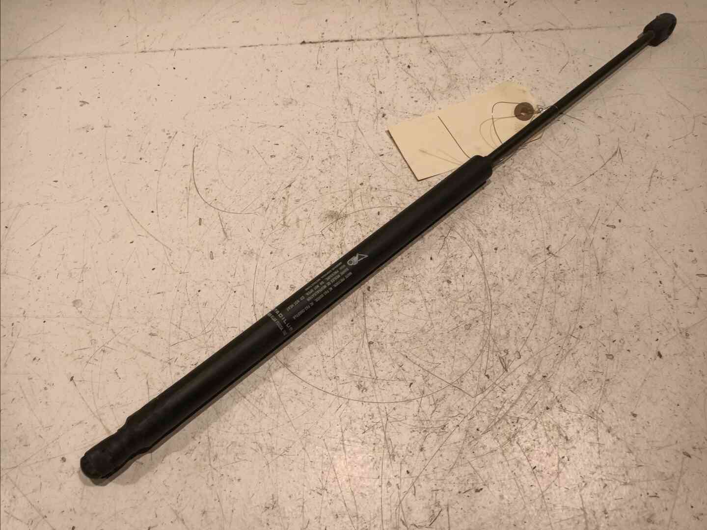 Image sélectionnée