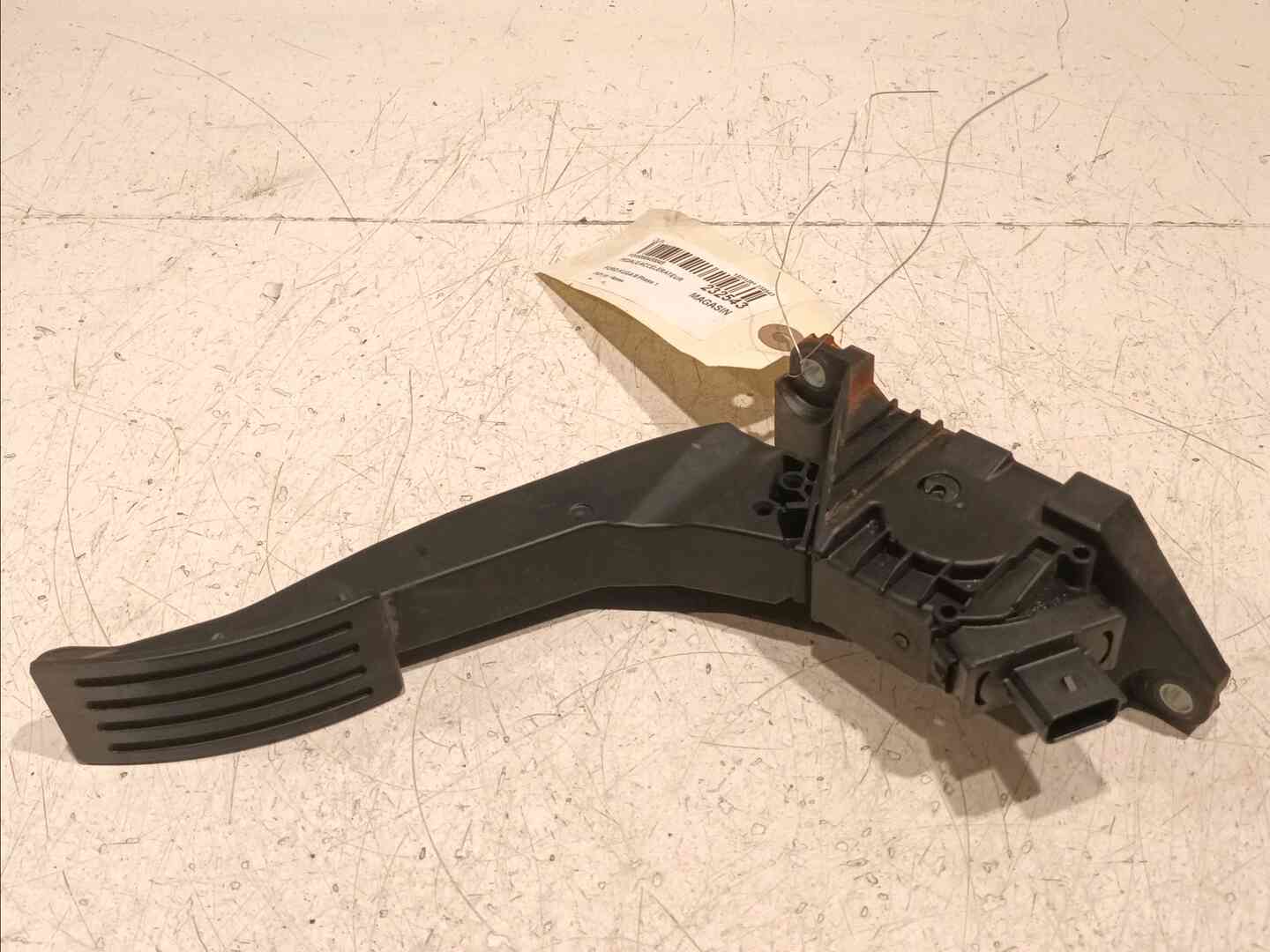 Image sélectionnée