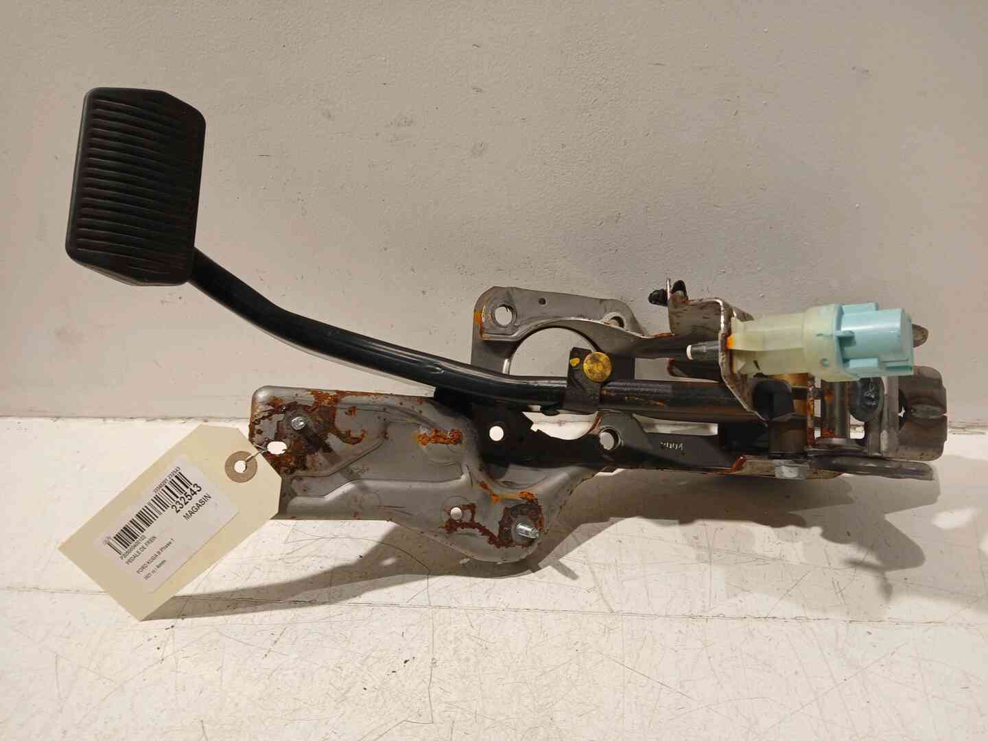 Image sélectionnée