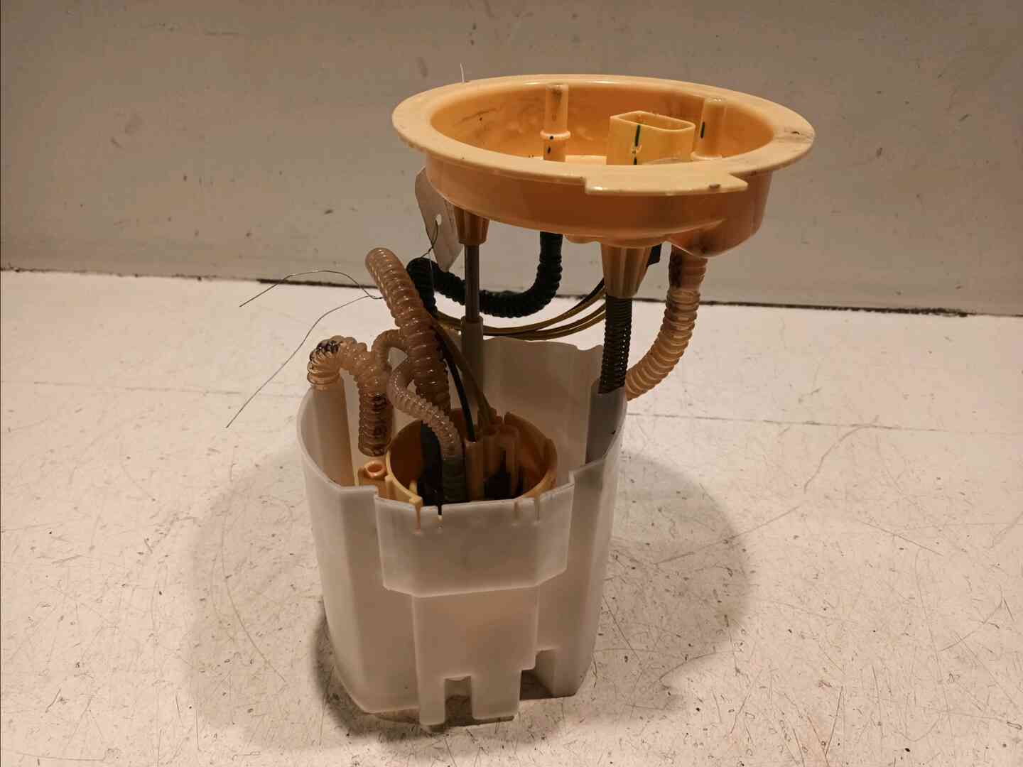 Image sélectionnée