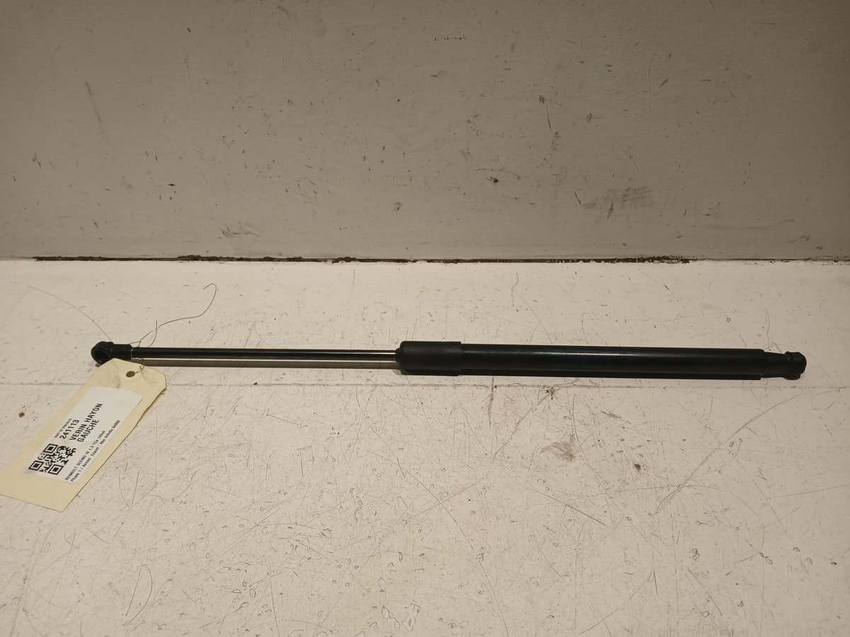 Image sélectionnée