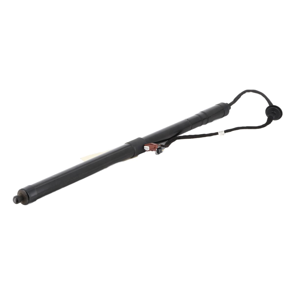 Image sélectionnée