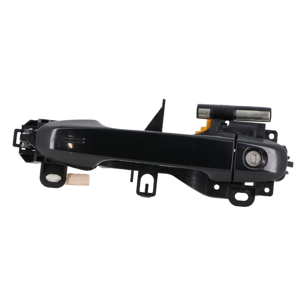 Image sélectionnée