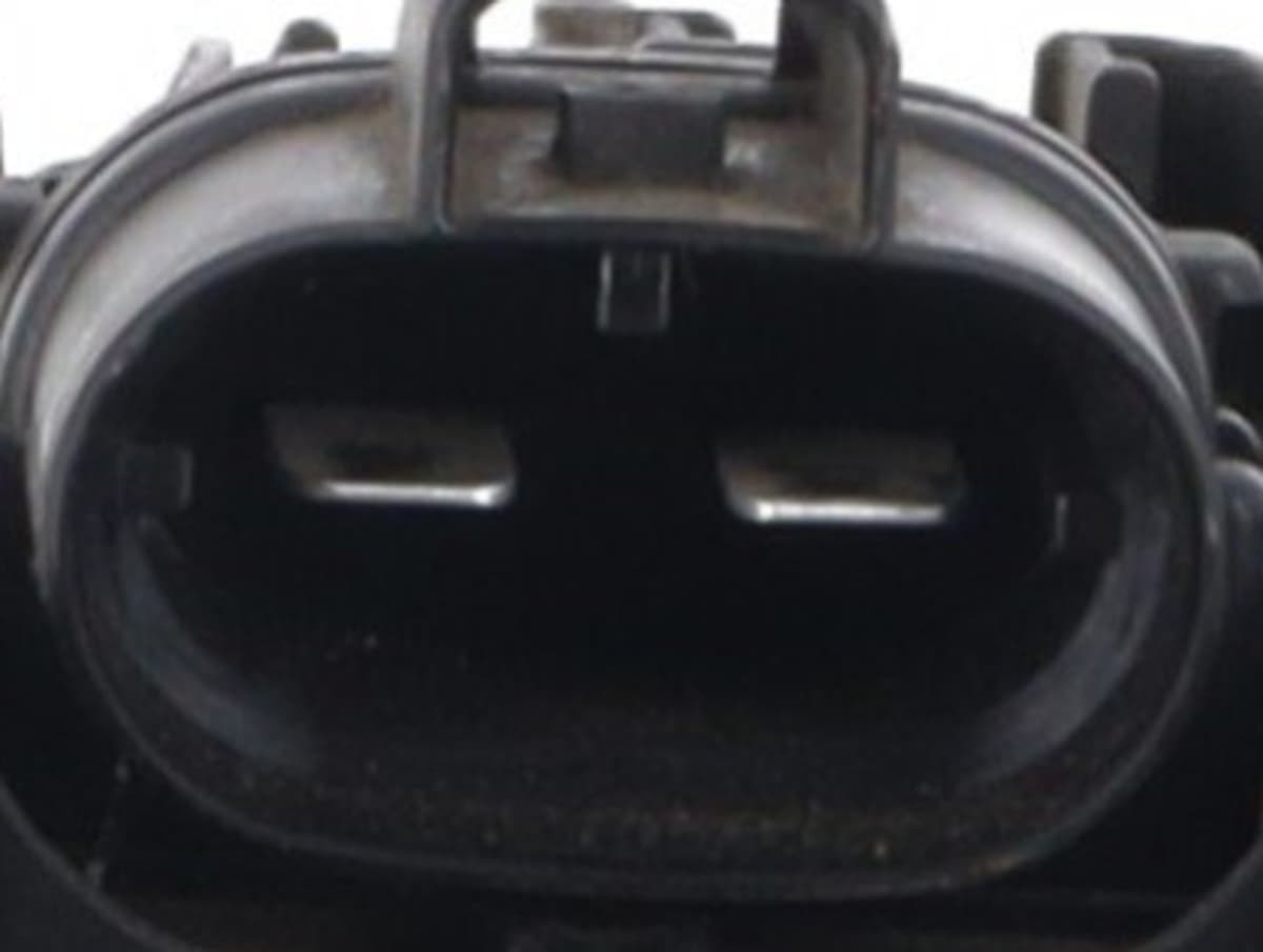 Image sélectionnée