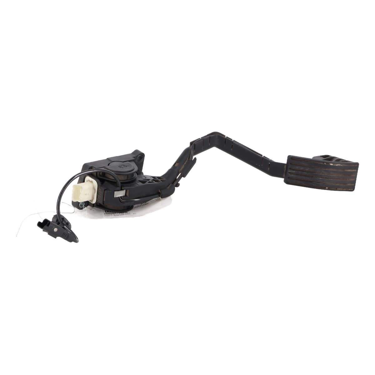 Image sélectionnée