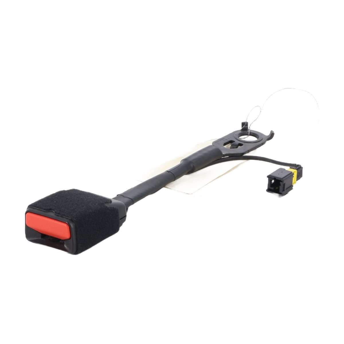 Image sélectionnée